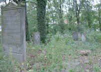 Jewish history Lubuskie Poland